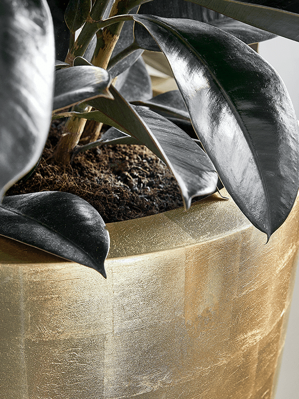 SEV Baq Metallic Silver leaf Siervaas - Glossy Gold