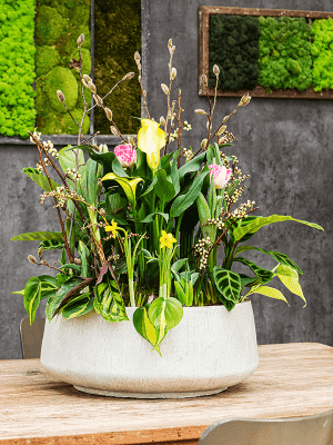 SEV Baq Raindrop Plantenbak - Bowl Beige