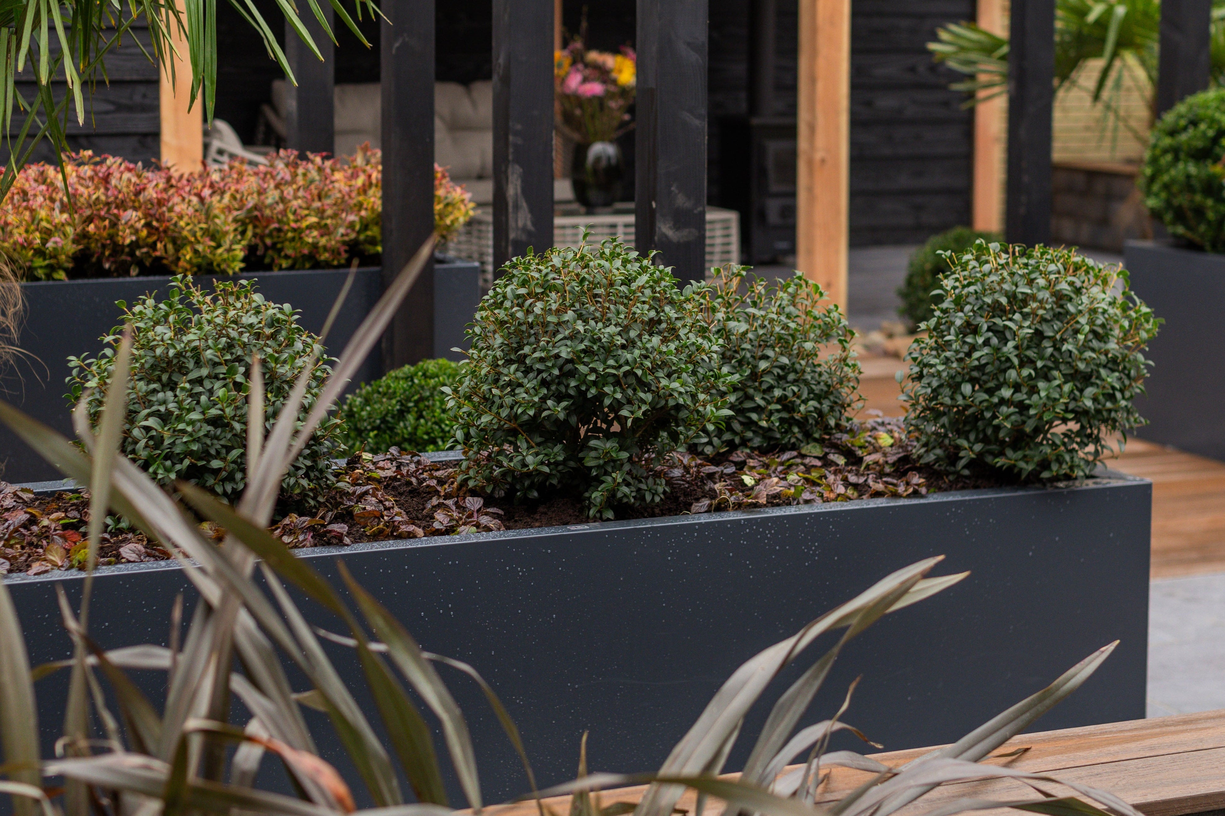 SEV Plantenbak 200x50x50