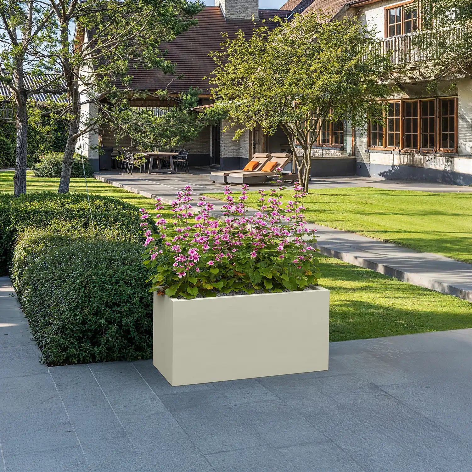 SEV plantenbak 100x50x50