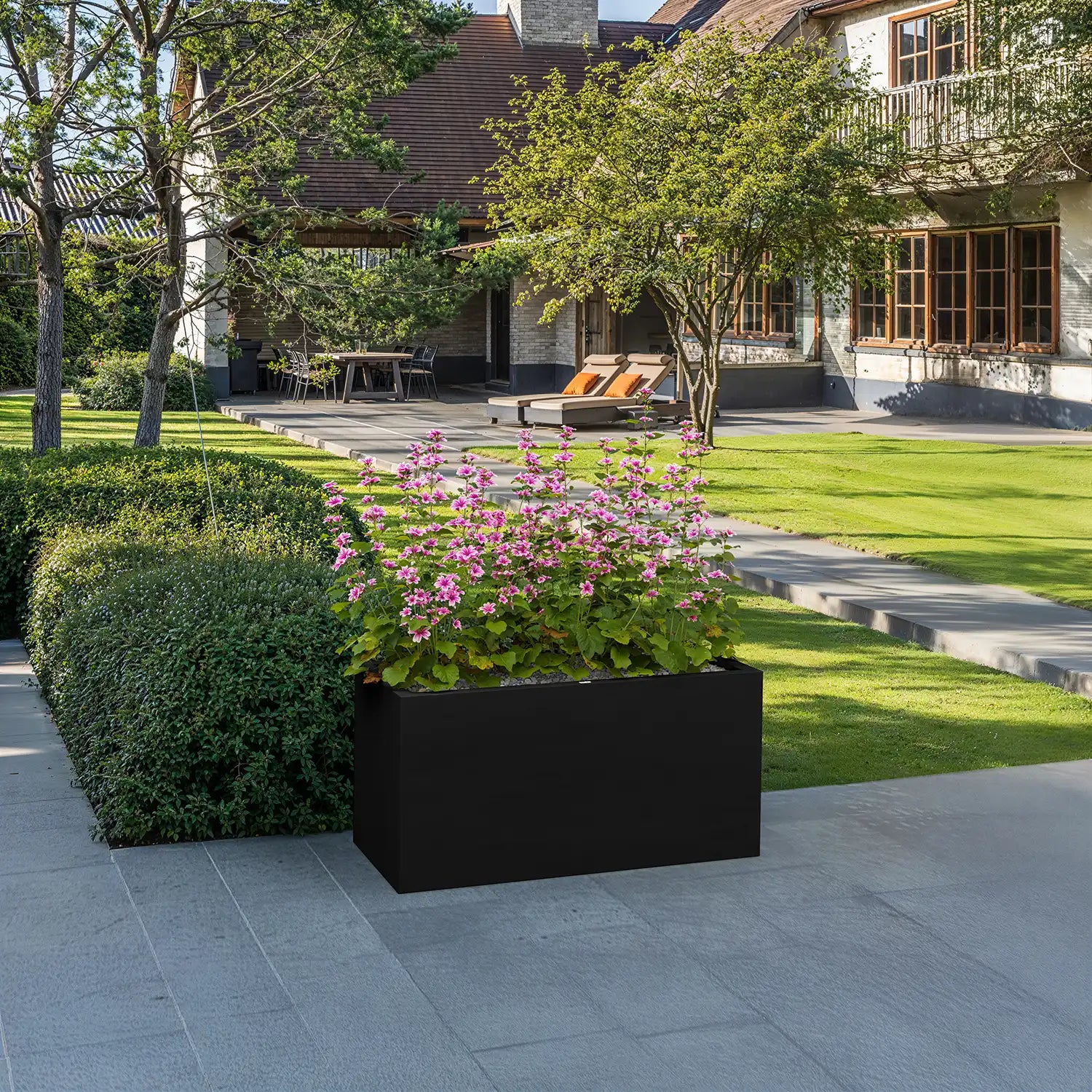 SEV plantenbak 100x50x50