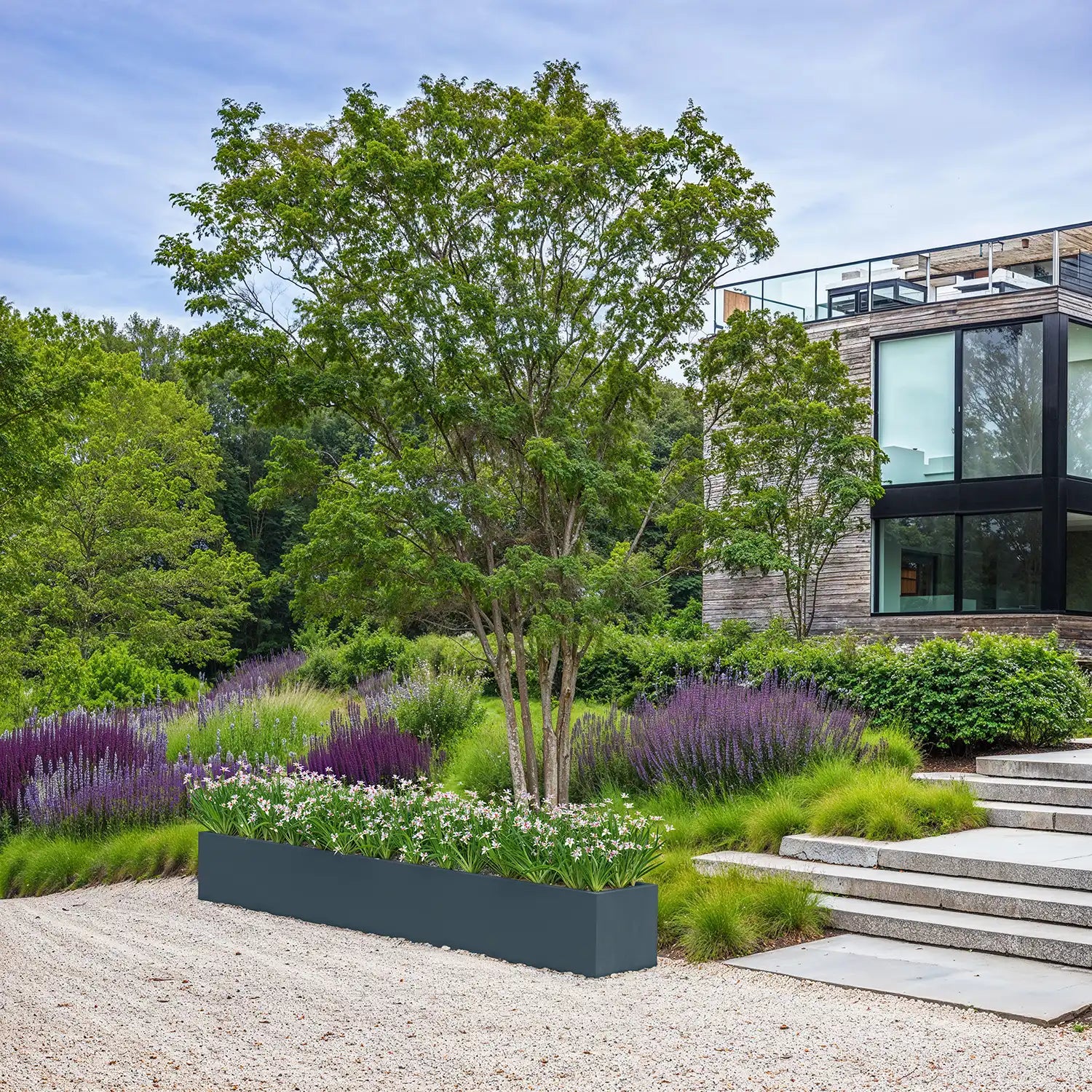 SEV Plantenbak 300x40x40