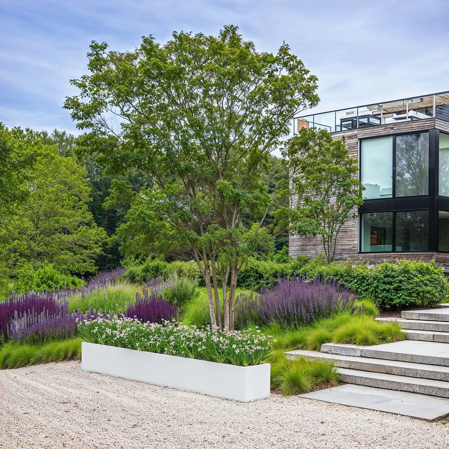 SEV Plantenbak 300x40x40