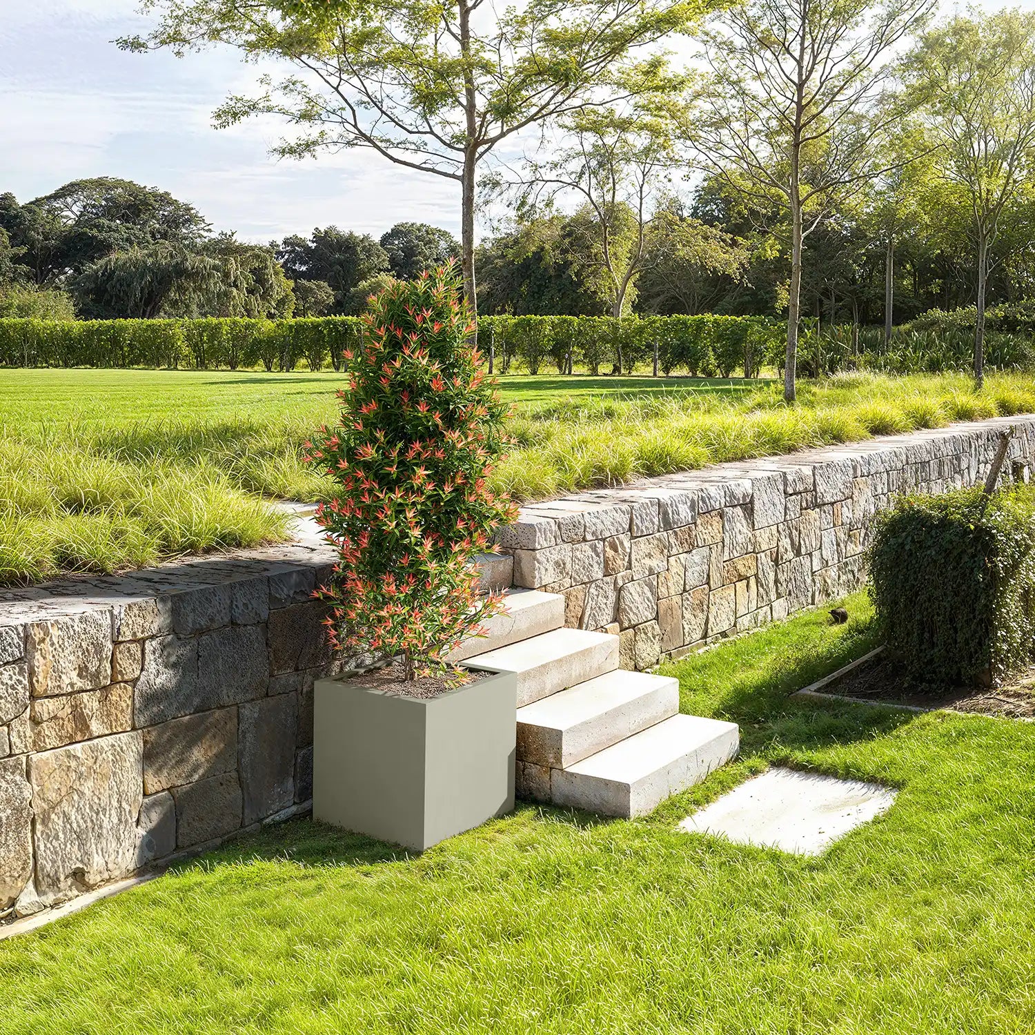 SEV Plantenbak 50x50x50