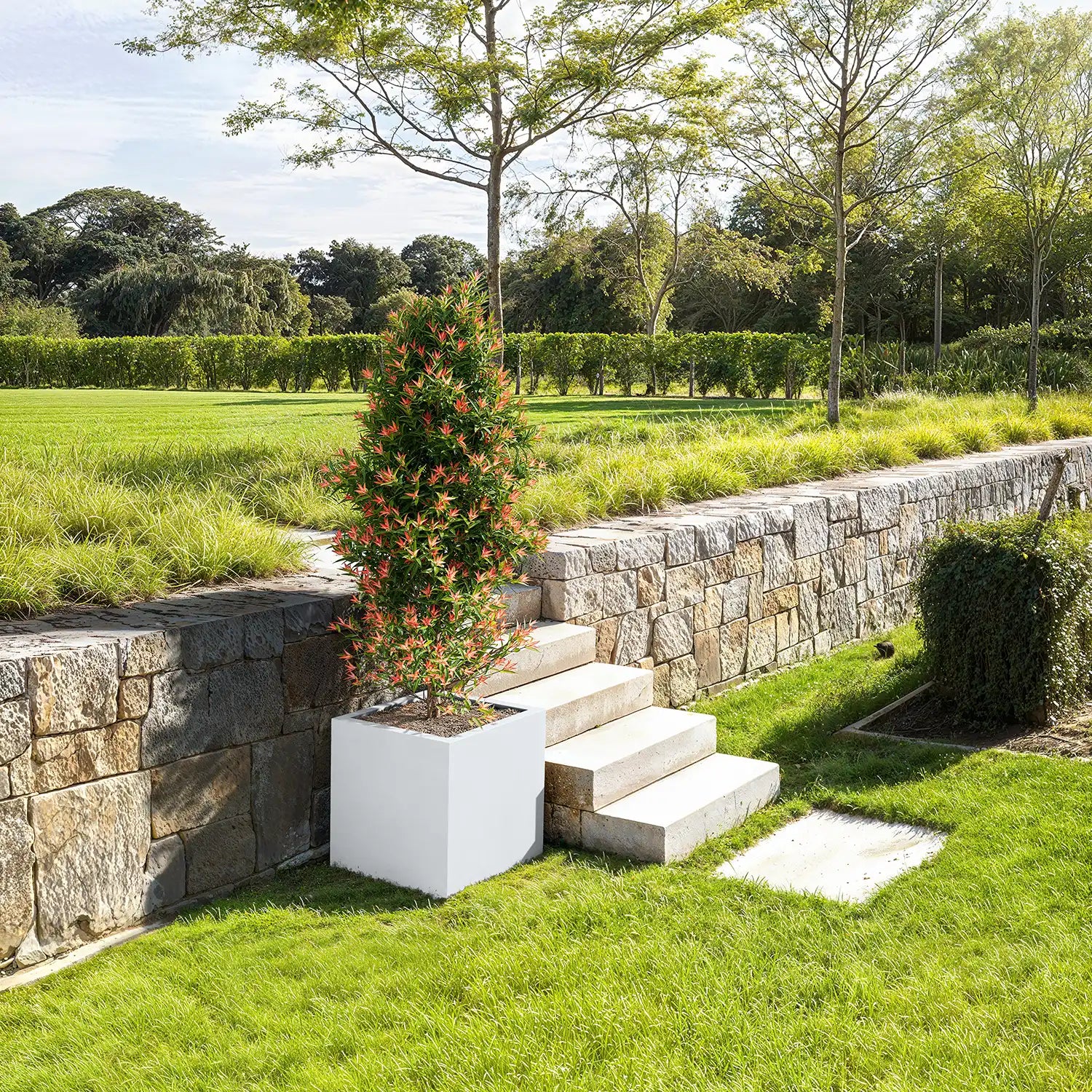 SEV Plantenbak 50x50x50