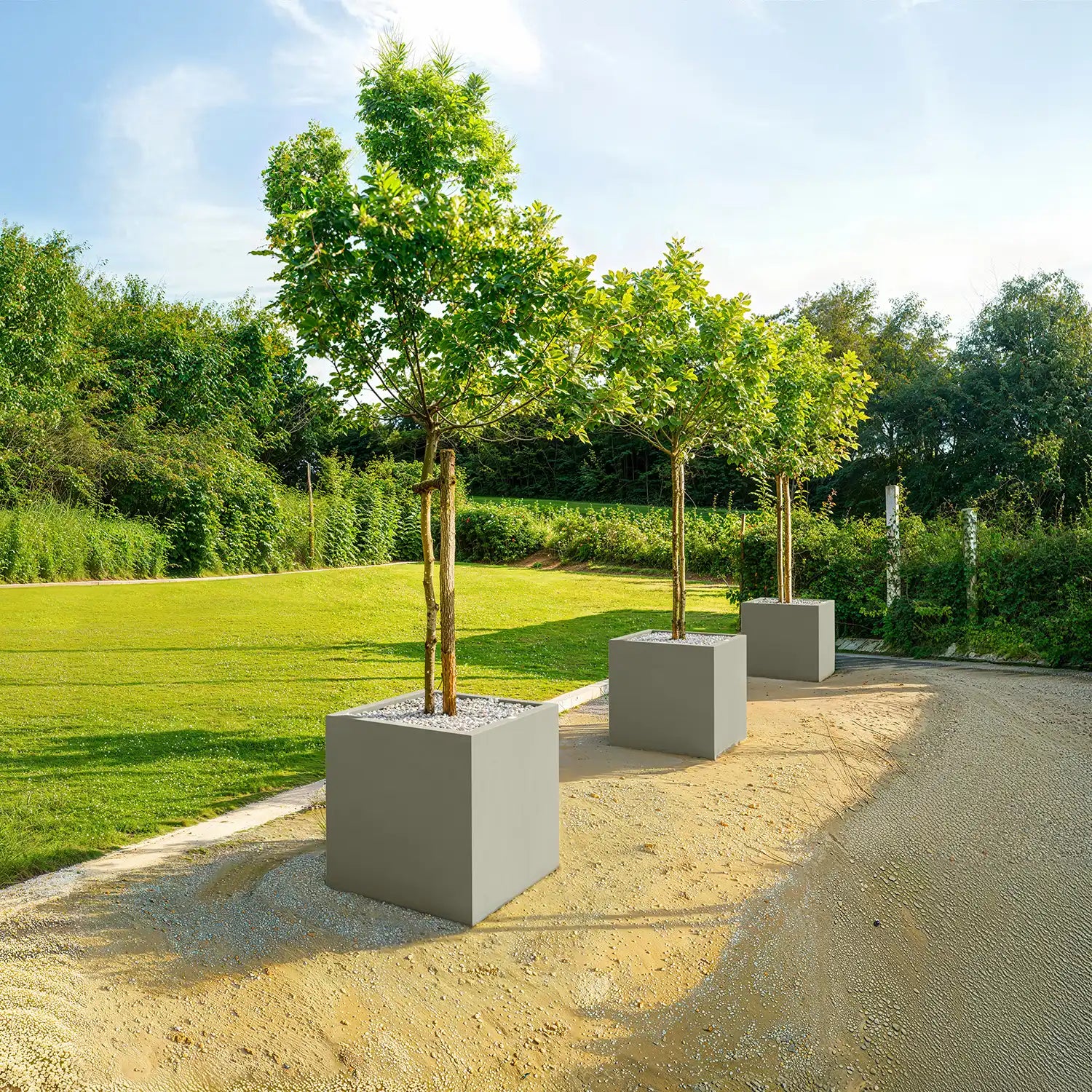 SEV Plantenbak 60x60x60 – Set van 2 | Bundelkorting