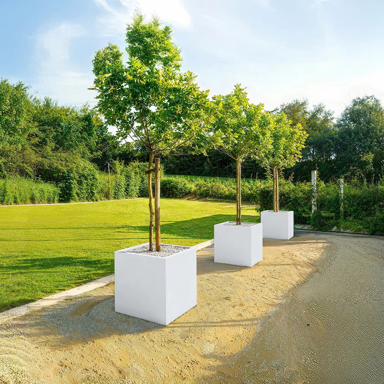 SEV Plantenbak 60x60x60 – Set van 2 | Bundelkorting