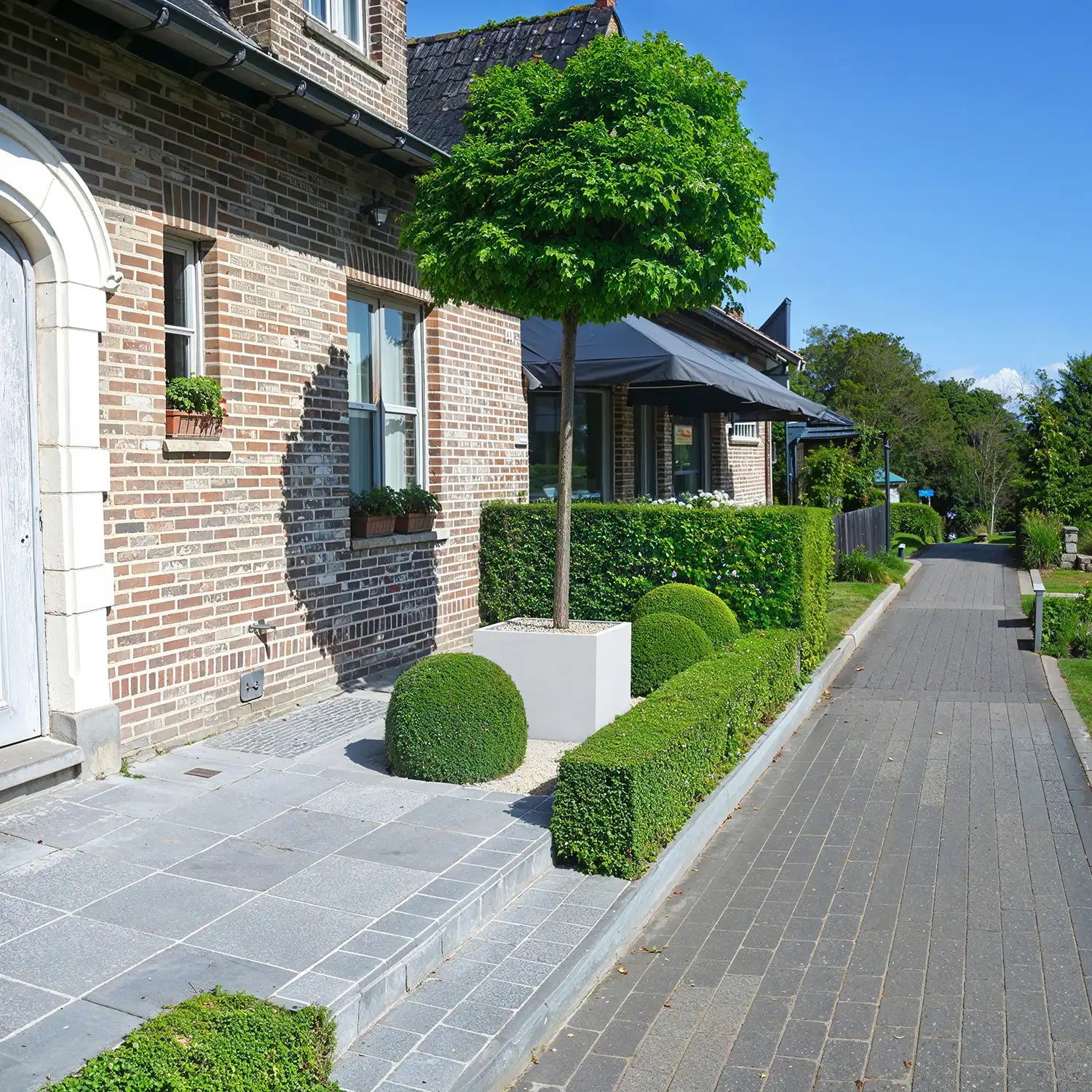 SEV Plantenbak 75x75x60