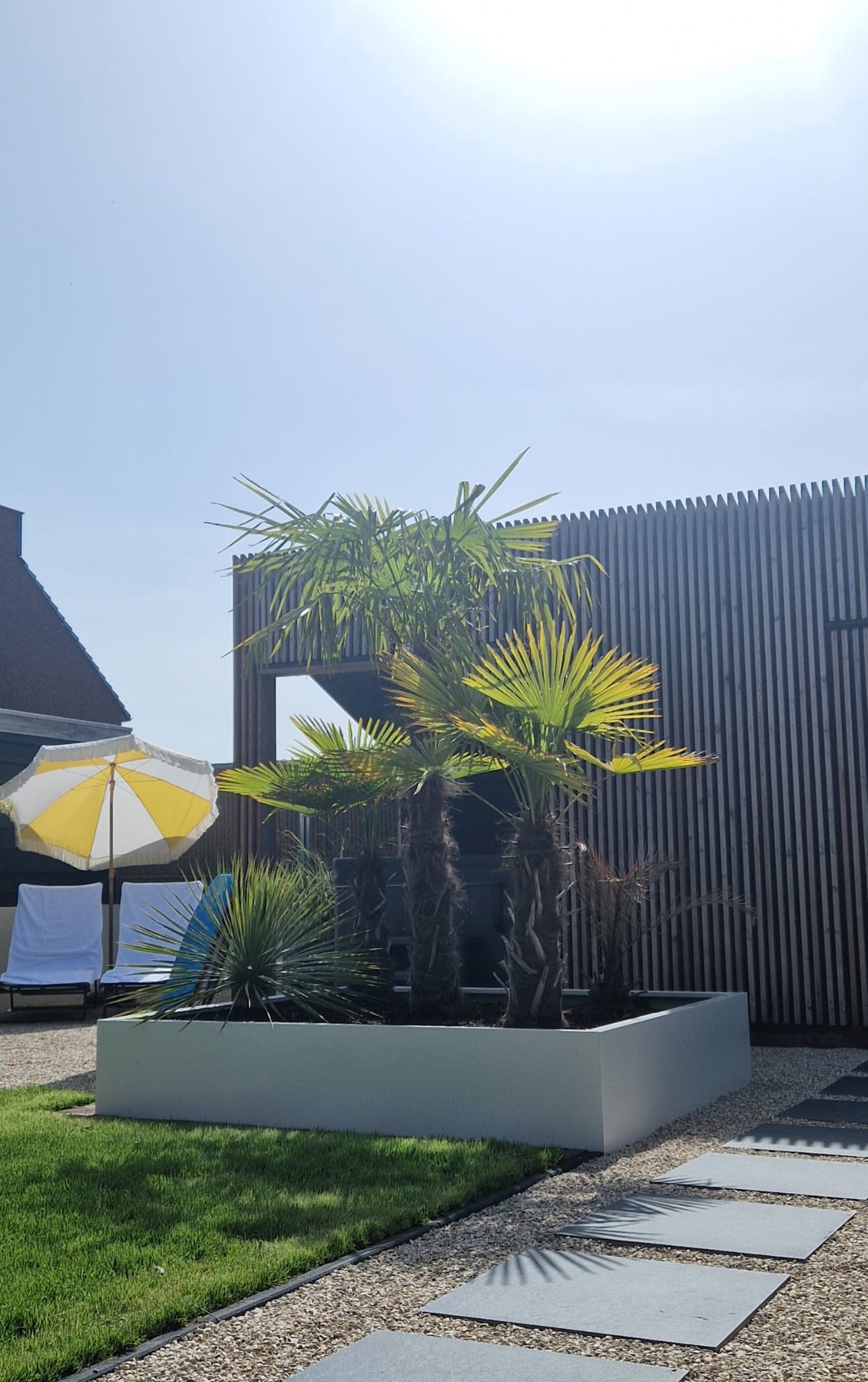 SEV Plantenbak 200x200x40