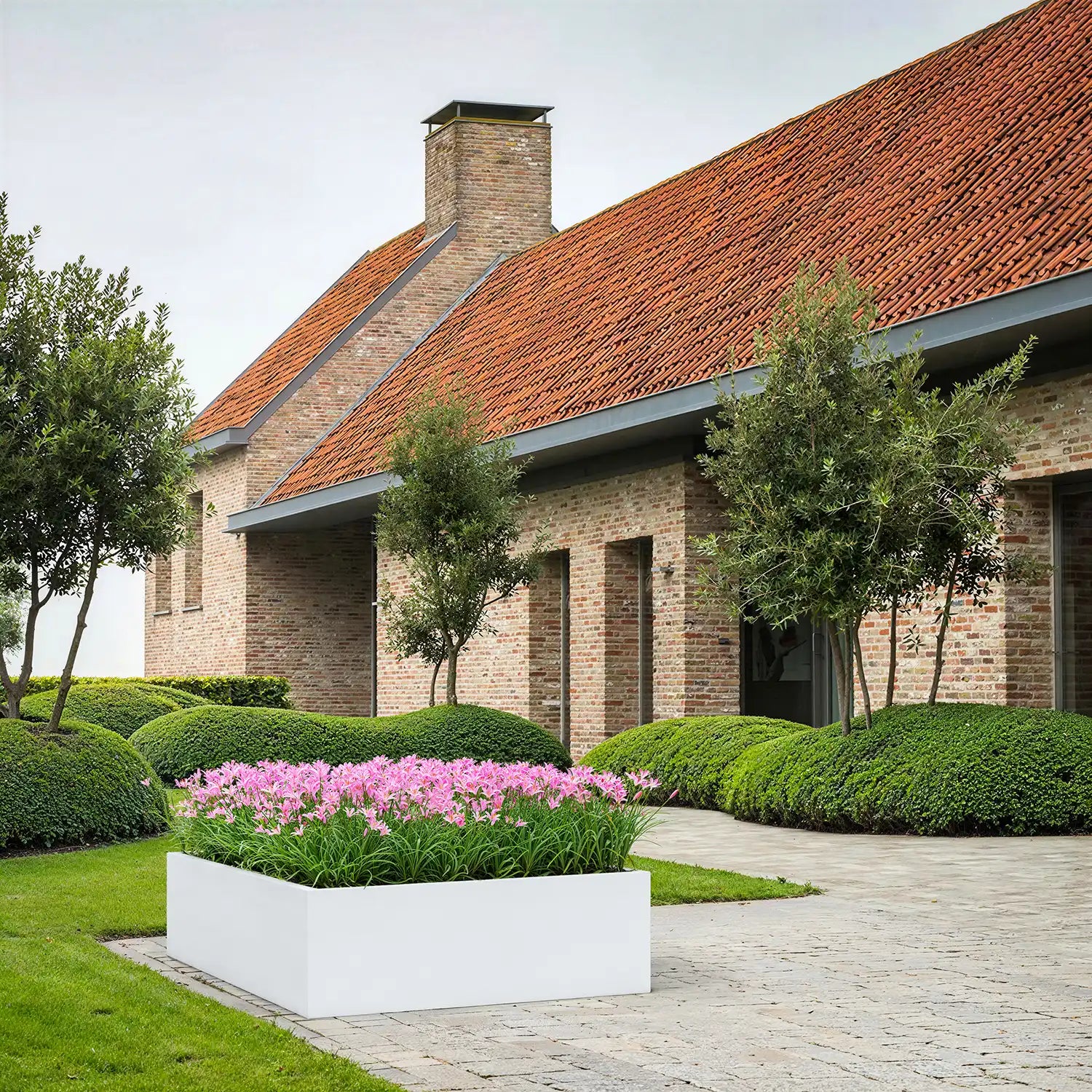 Populaire plantenbakken