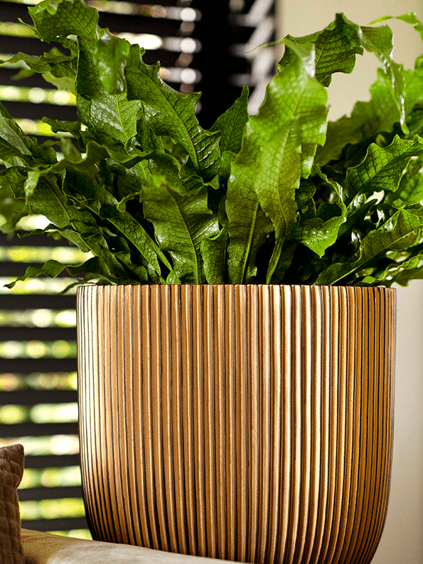 Capi Nature Groove Plantenbak - Zwart Goud