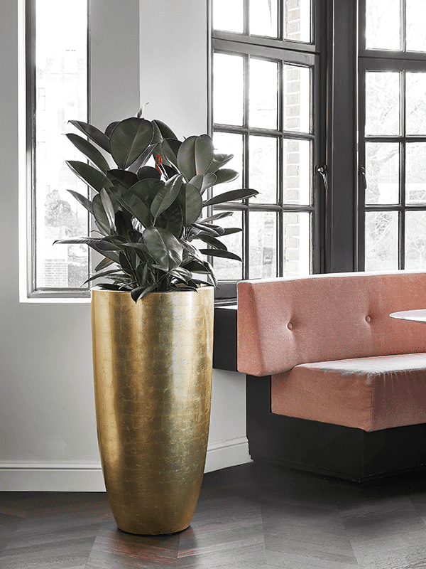 SEV Baq Metallic Silver leaf Siervaas - Glossy Gold