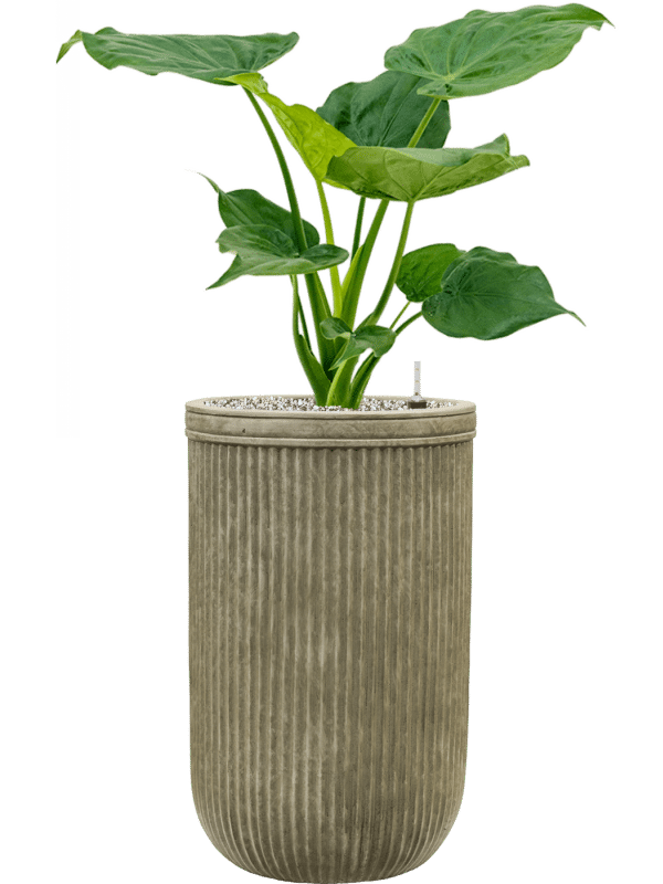 SEV Baq Vertical Rib Plantenbak - Cylinder Green
