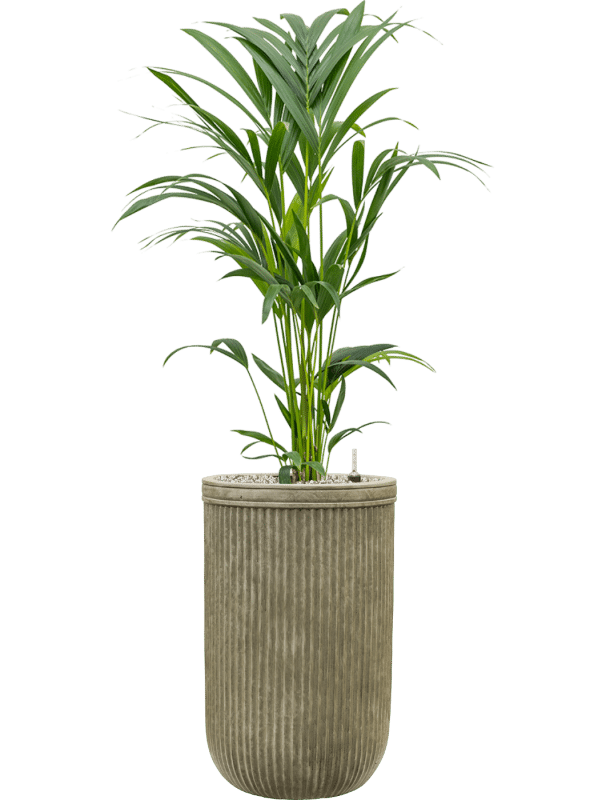 SEV Baq Vertical Rib Plantenbak - Cylinder Green