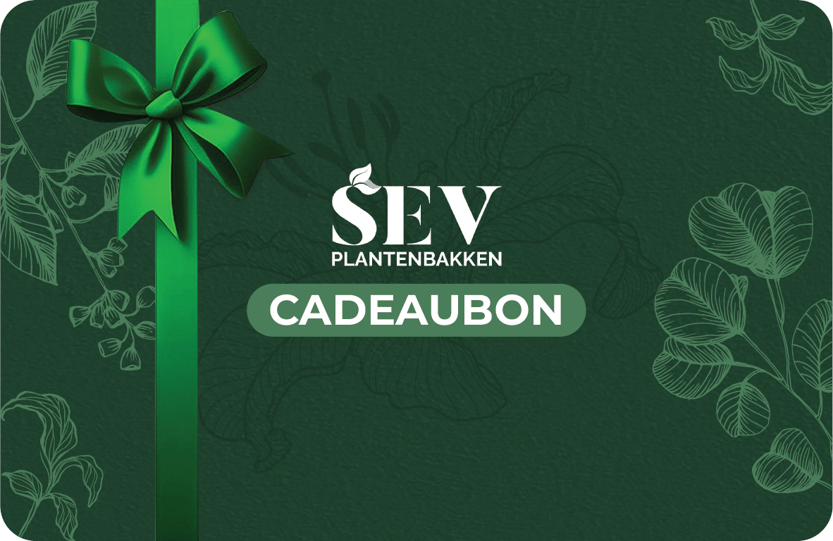 SEV Cadeaukaart