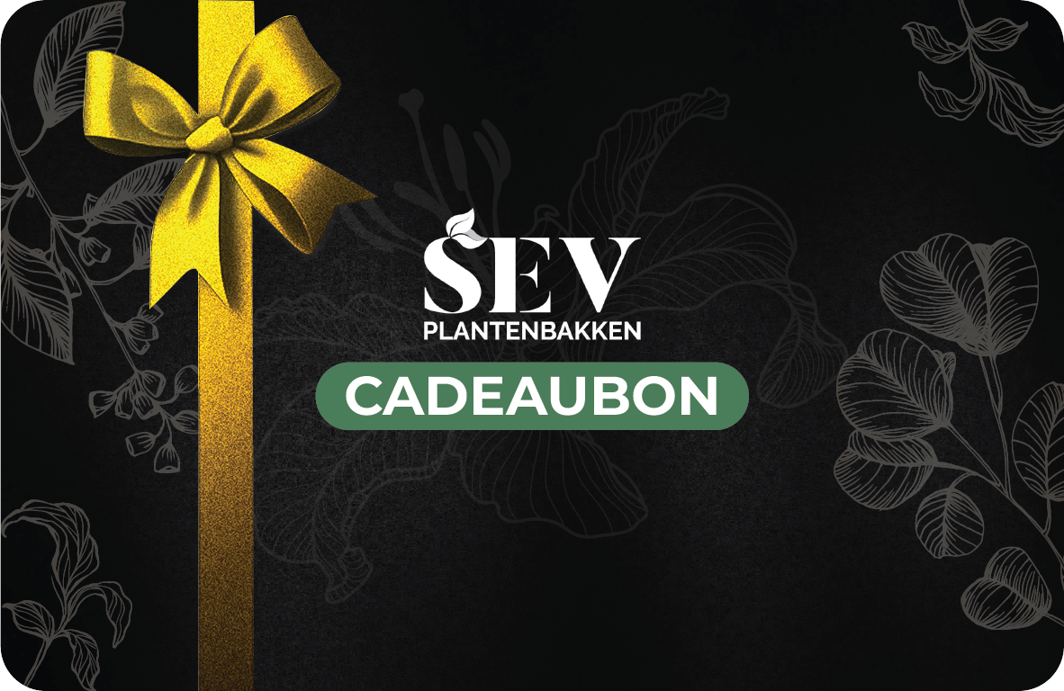 SEV Cadeaukaart