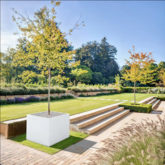 SEV Plantenbak 100x100x80