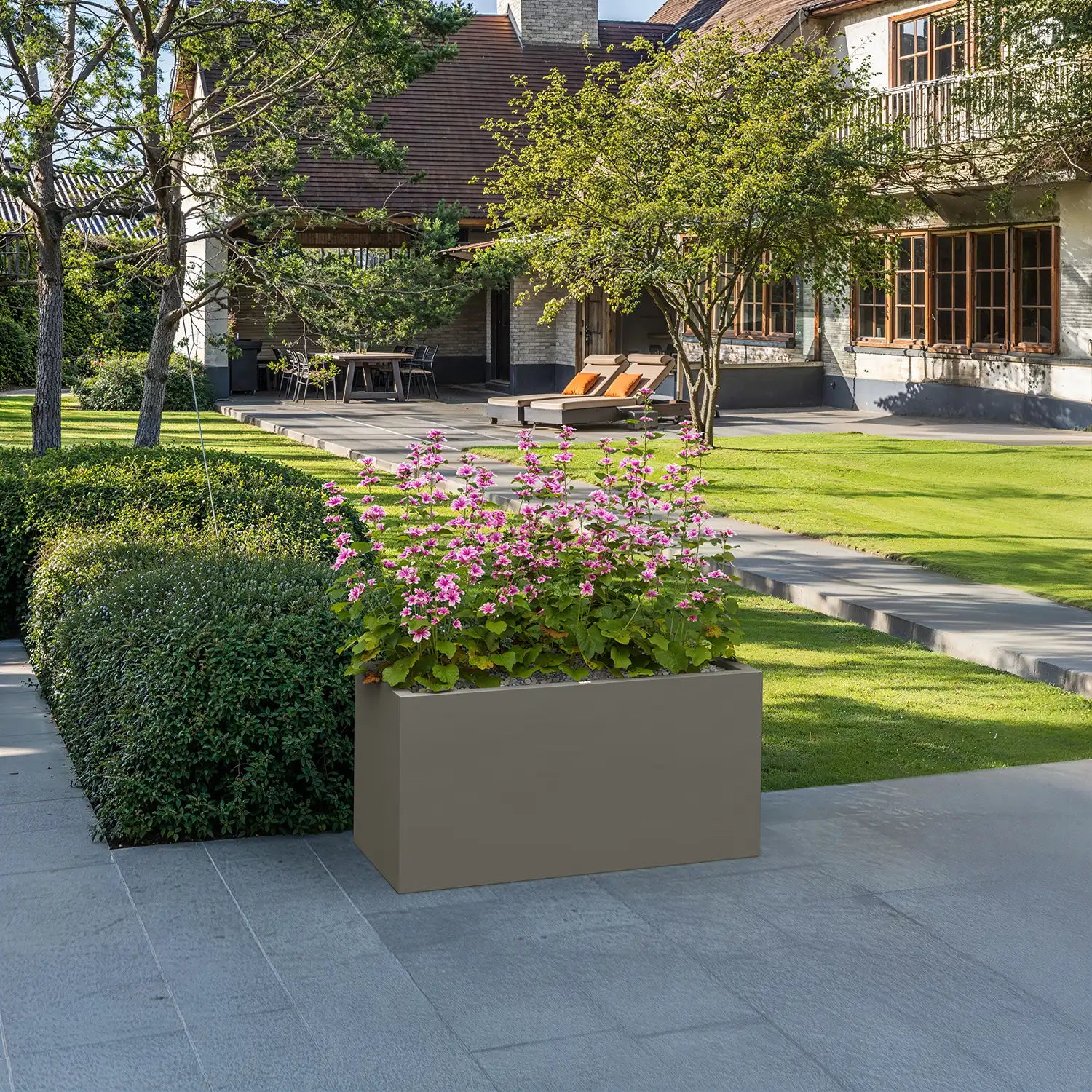 SEV plantenbak 100x50x50