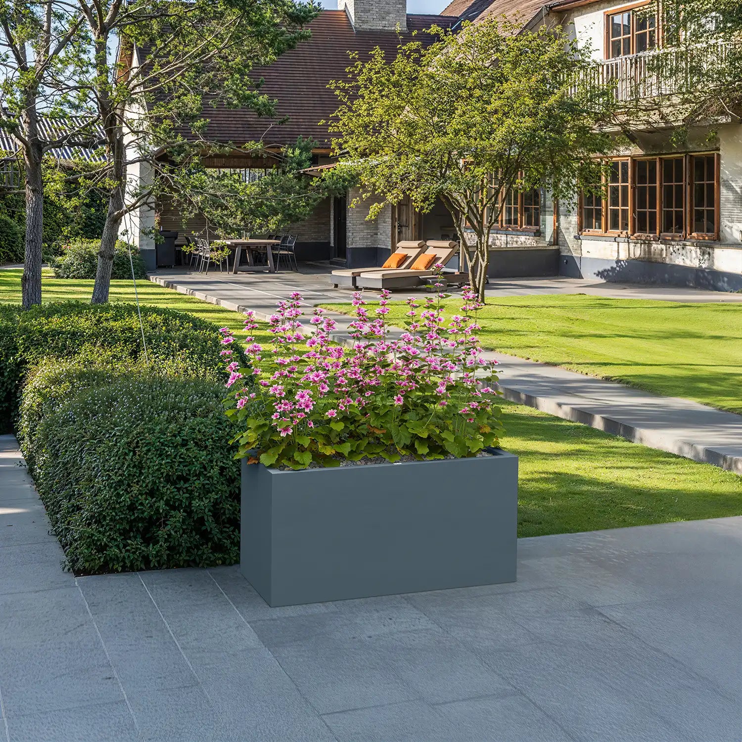 SEV plantenbak 100x50x50