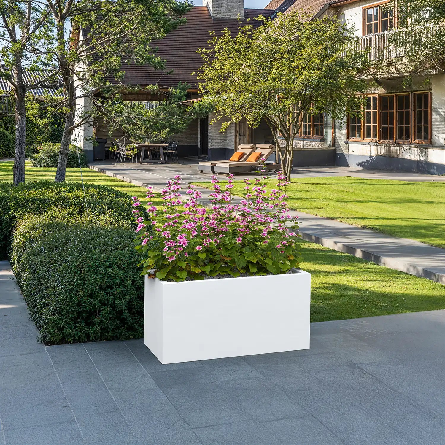 SEV plantenbak 100x50x50