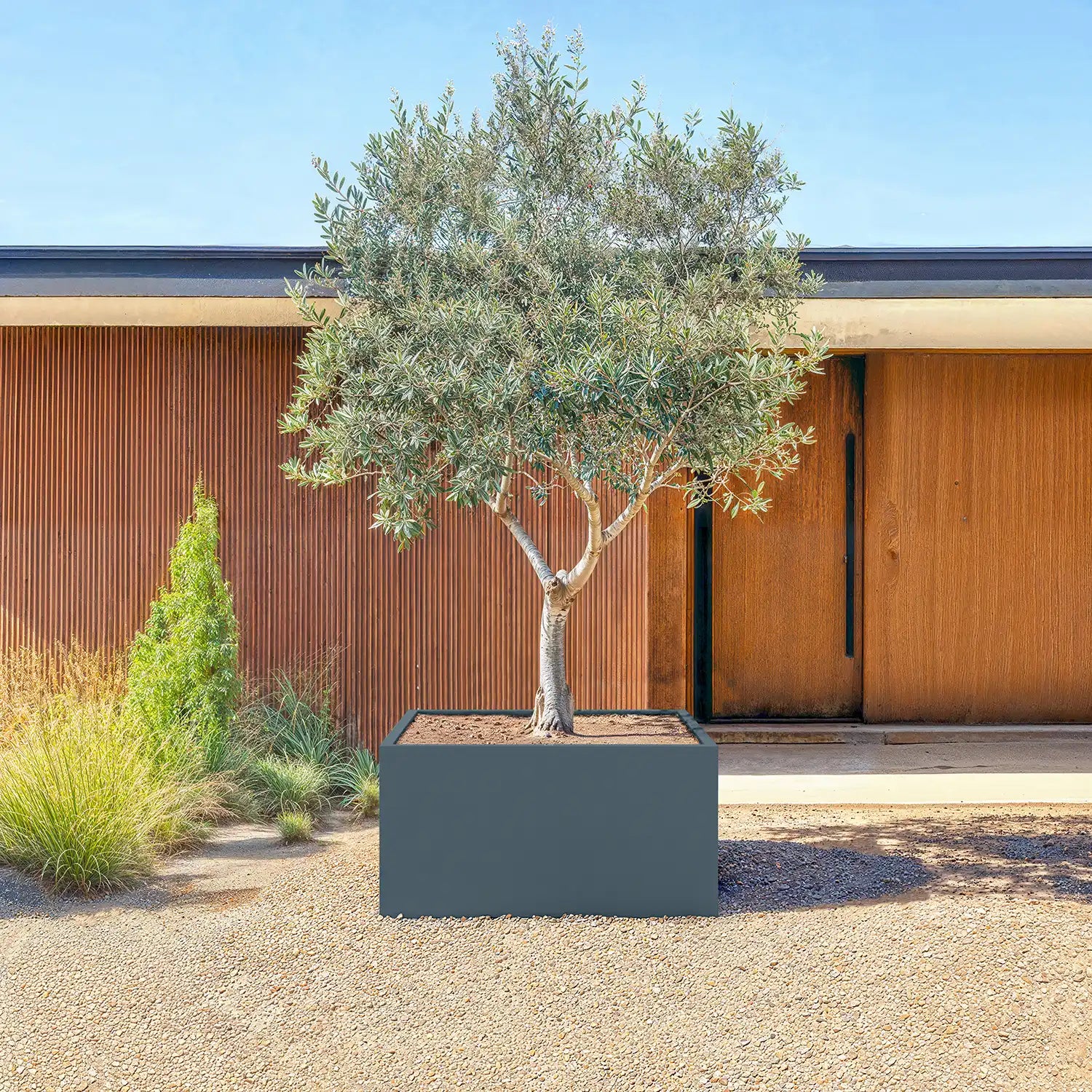 SEV Plantenbak 120x120x60