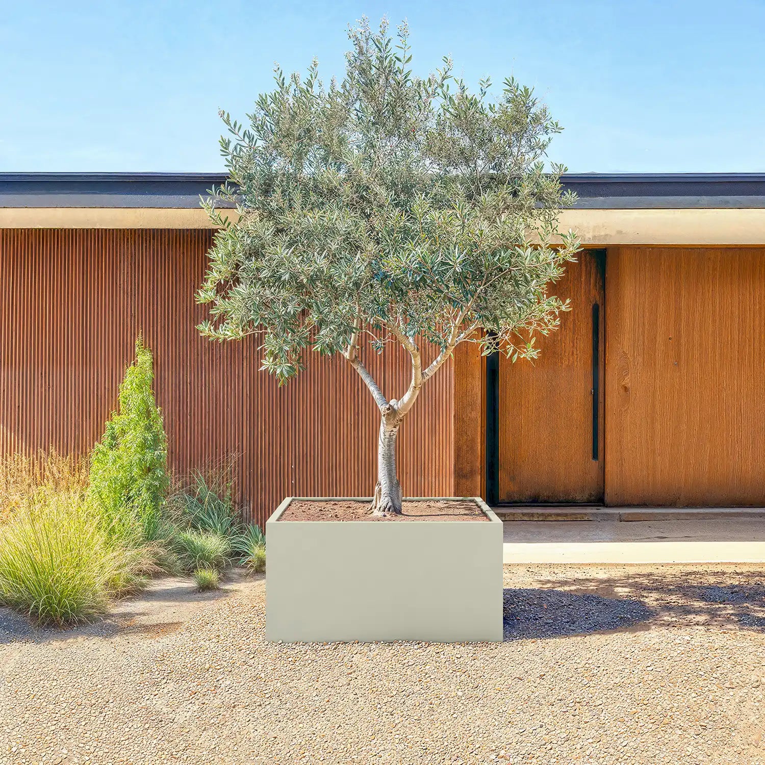 SEV Plantenbak 120x120x60