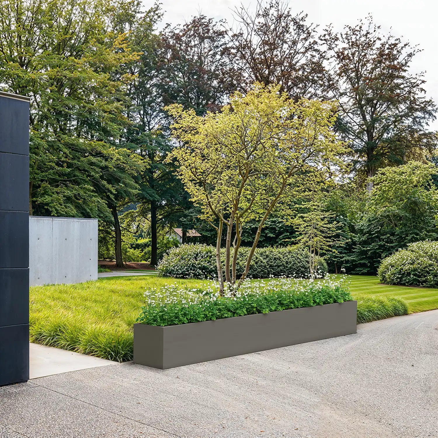 SEV Plantenbak 350x50x50