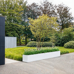 SEV Plantenbak 350x50x50