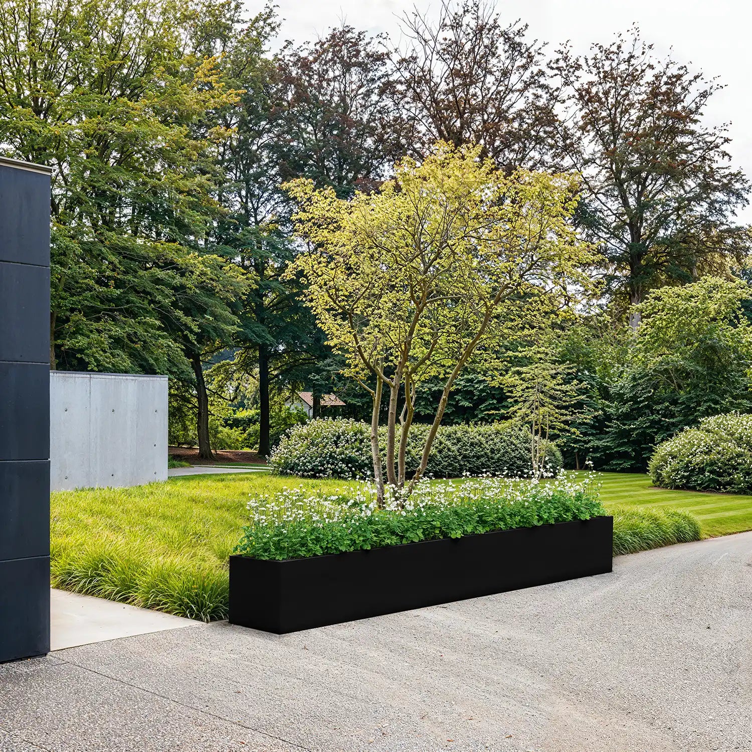 SEV Plantenbak 350x50x50