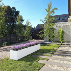 SEV Plantenbak 400x60x60