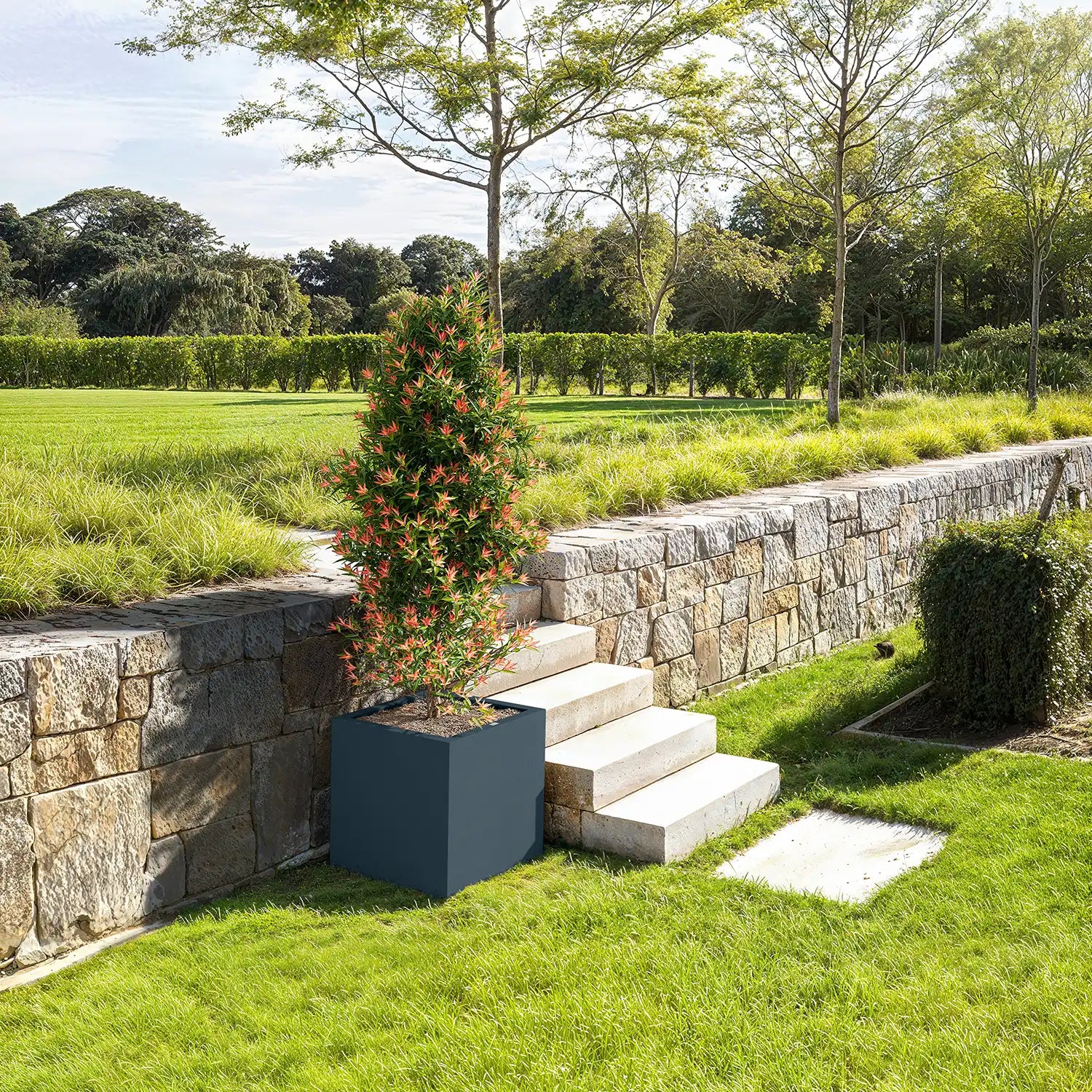 SEV Plantenbak 50x50x50