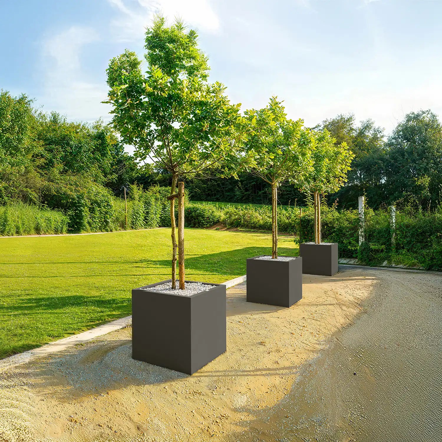 SEV Plantenbak 60x60x60 – Set van 2 | Bundelkorting
