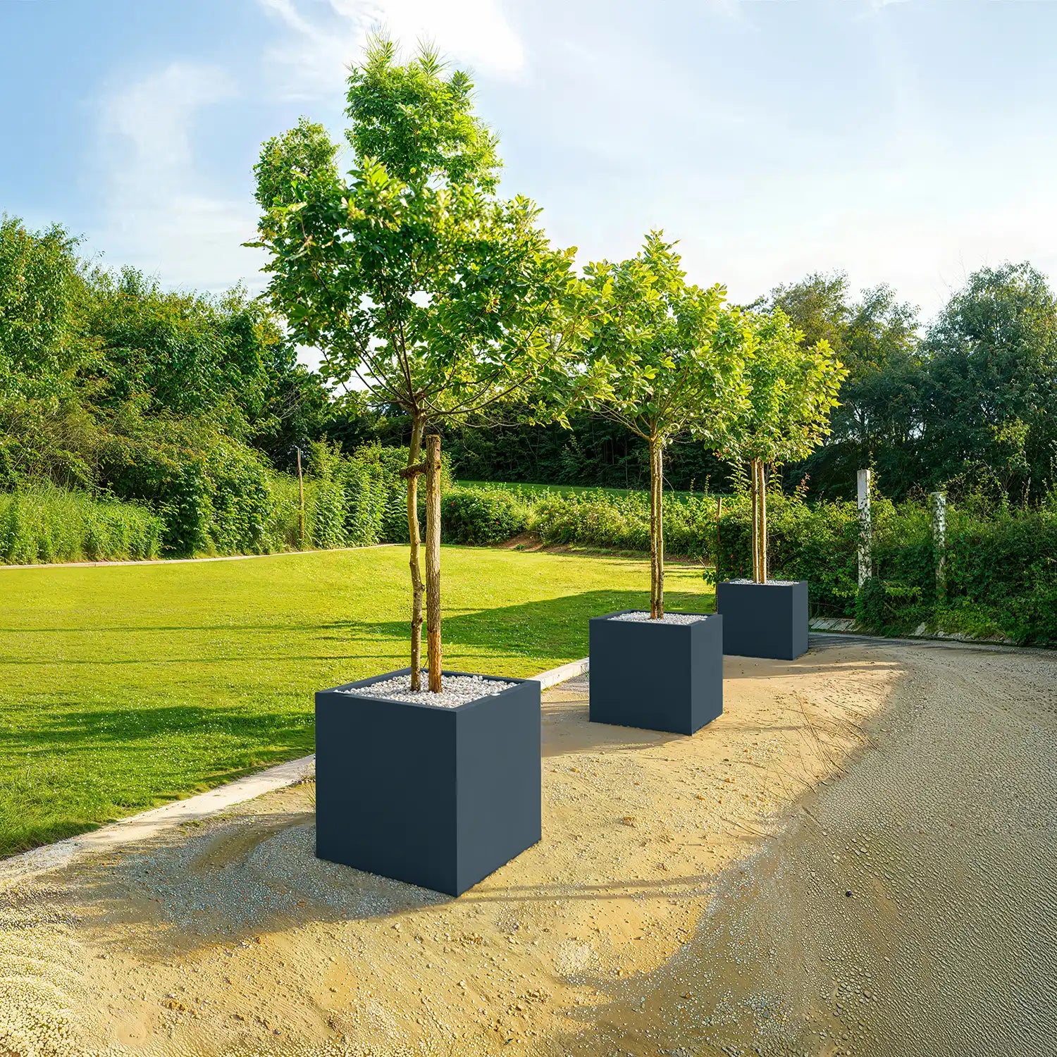 SEV Plantenbak 60x60x60