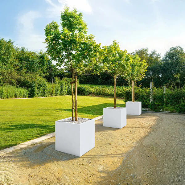 SEV Plantenbak 60x60x60
