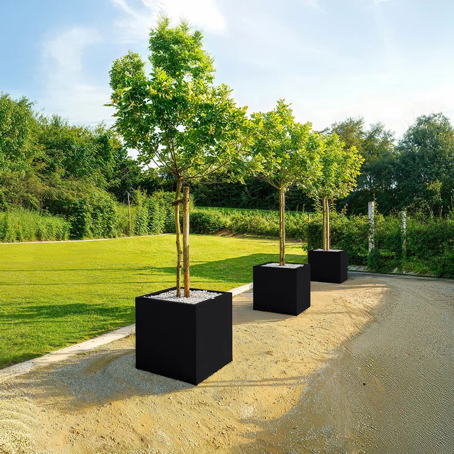 SEV Plantenbak 60x60x60 – Set van 2 | Bundelkorting