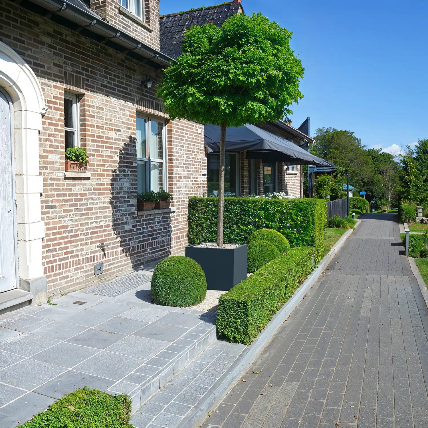 SEV Plantenbak 75x75x60