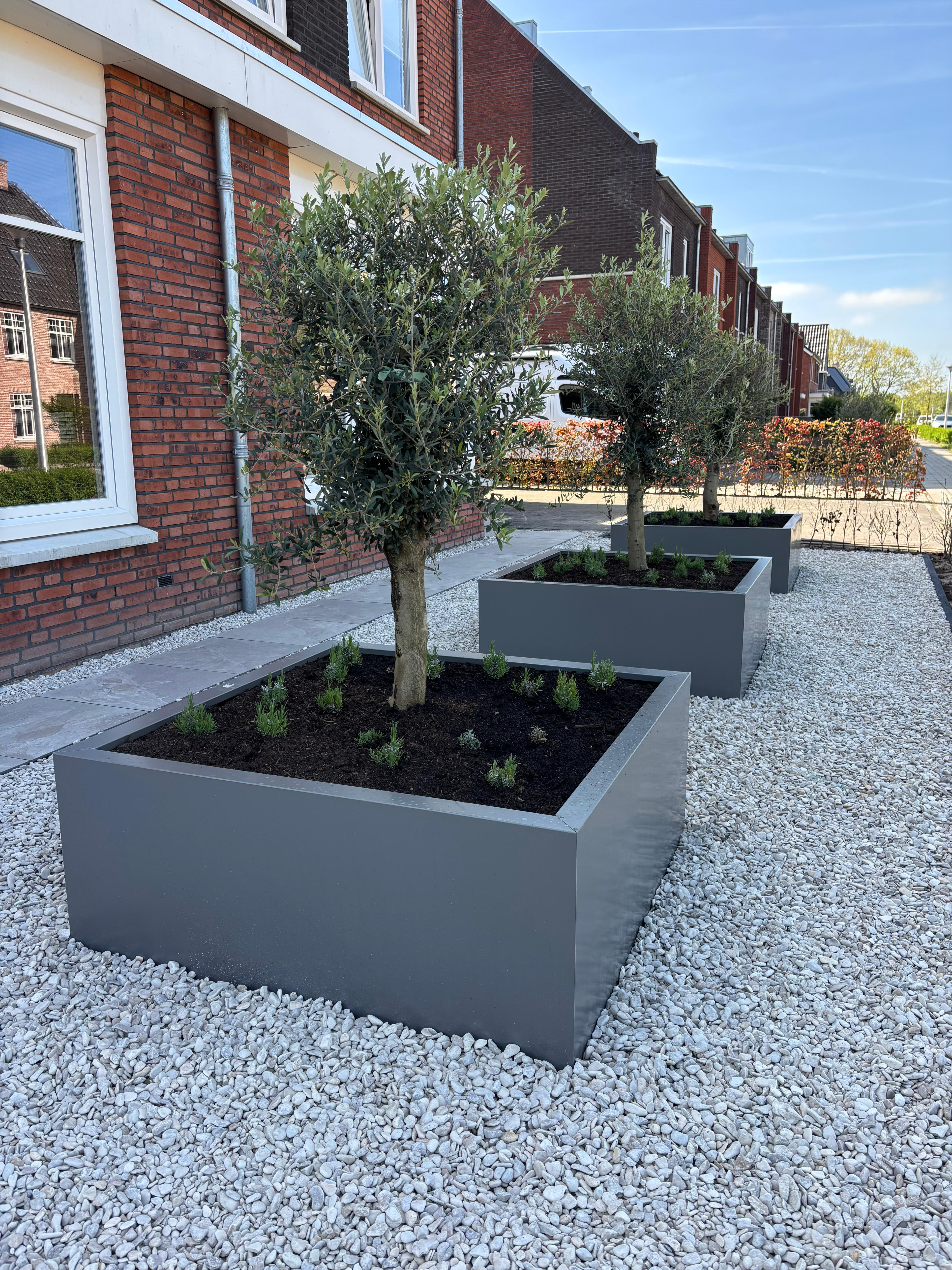 SEV Plantenbak 120x120x50