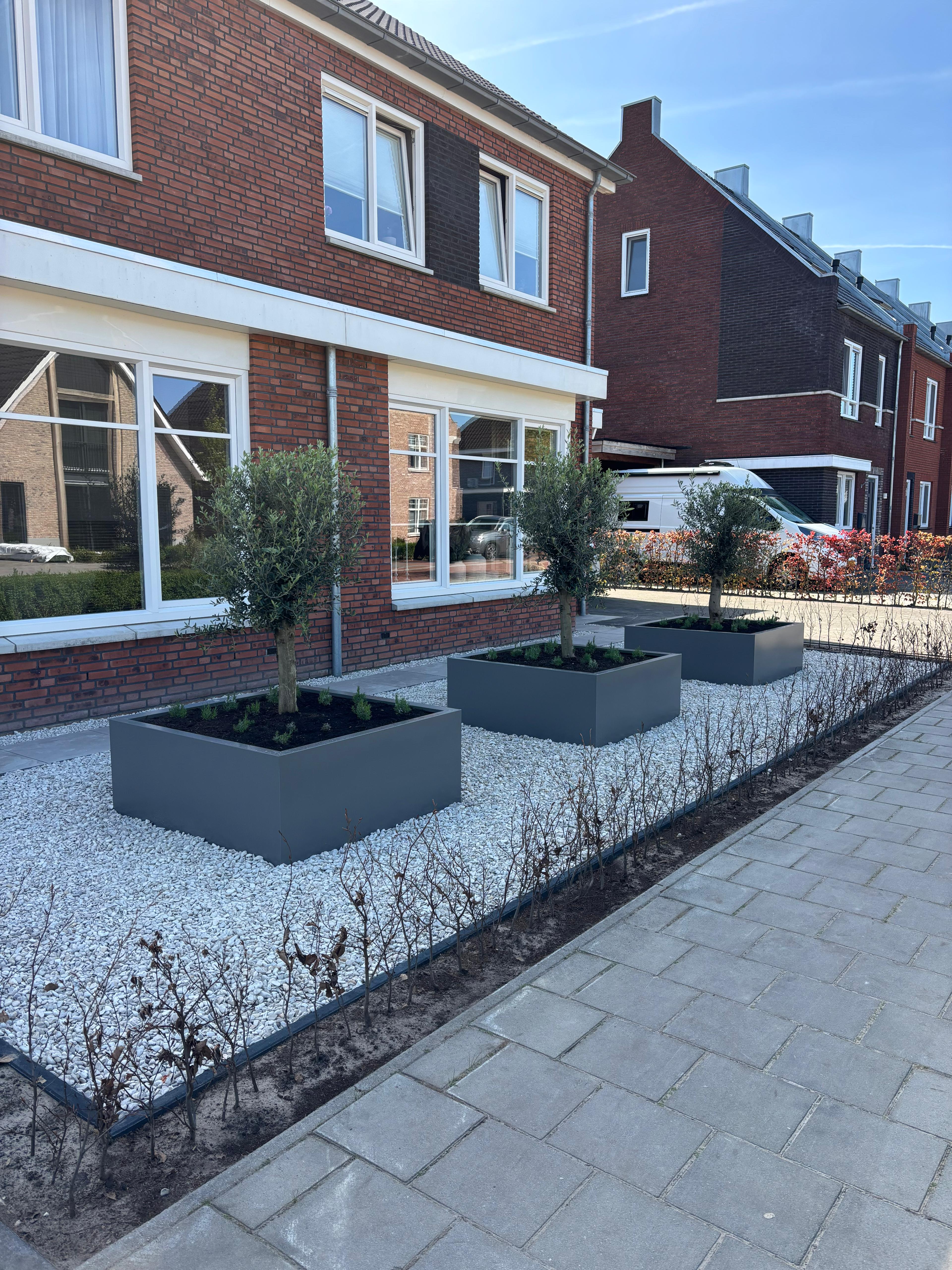 SEV Plantenbak 120x120x50