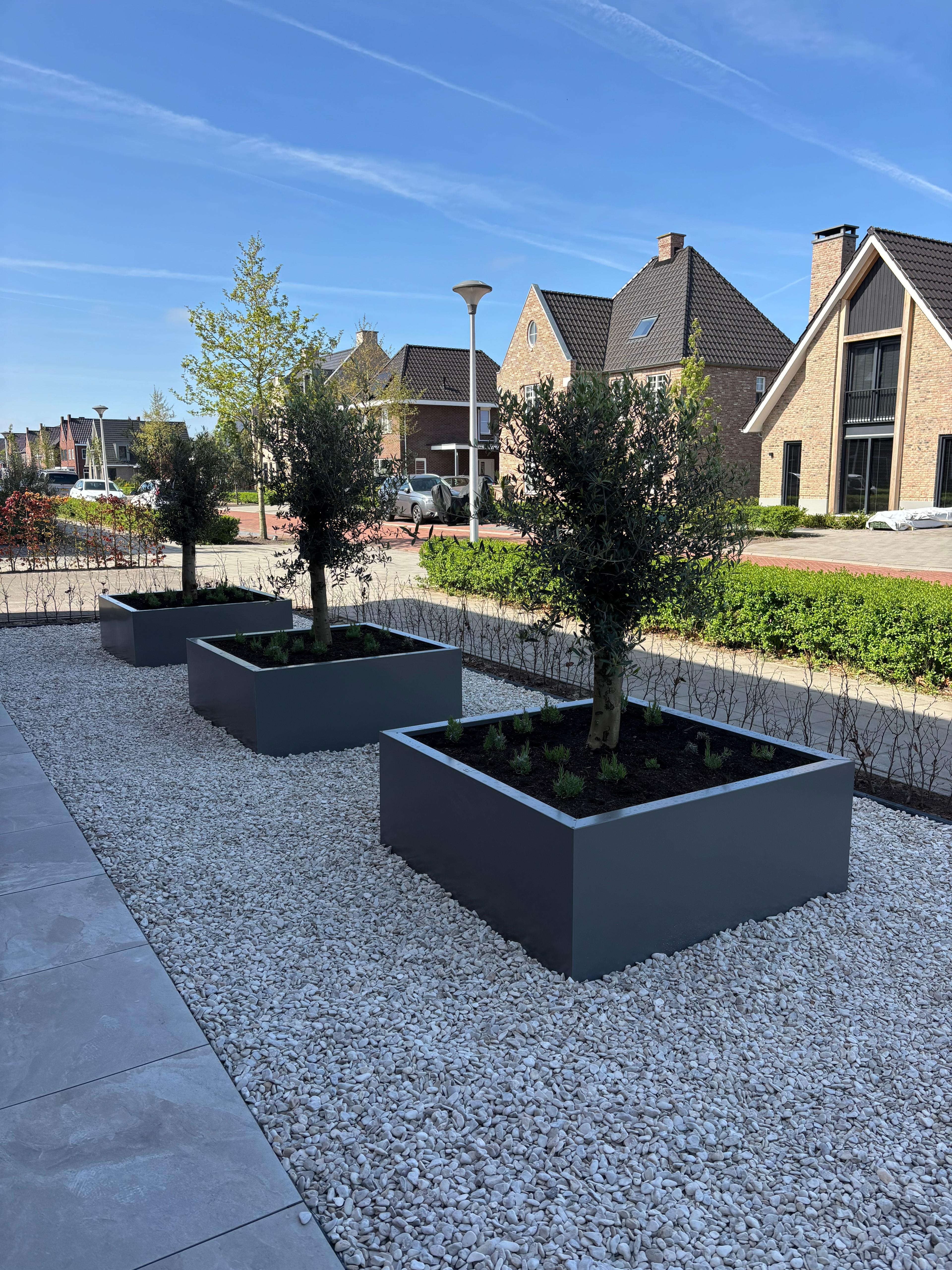 SEV Plantenbak 120x120x50